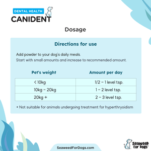 Canident - Clean Dogs Teeth (300 g)